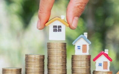 Le prix des terres agricoles s’envole et retrouve son niveau de 1997 Actualités