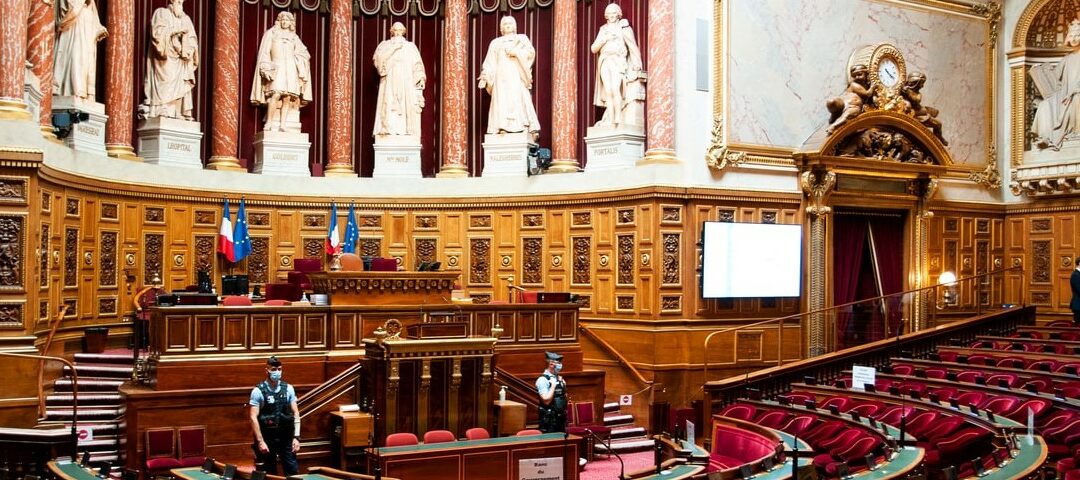 Logement : la loi « anti-squat » validée par le Conseil constitutionnel, quel impact pour les propriétaires ? Actualités