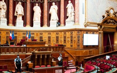 Logement : la loi « anti-squat » validée par le Conseil constitutionnel, quel impact pour les propriétaires ? Actualités