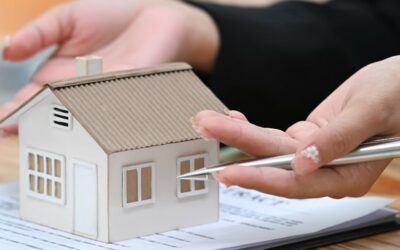 Les investissements « verts » attirent les jeunes épargnants Actualités