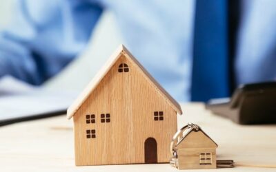 Terrains à petits prix : la stratégie de Plougasnou pour séduire les jeunes familles Actualités