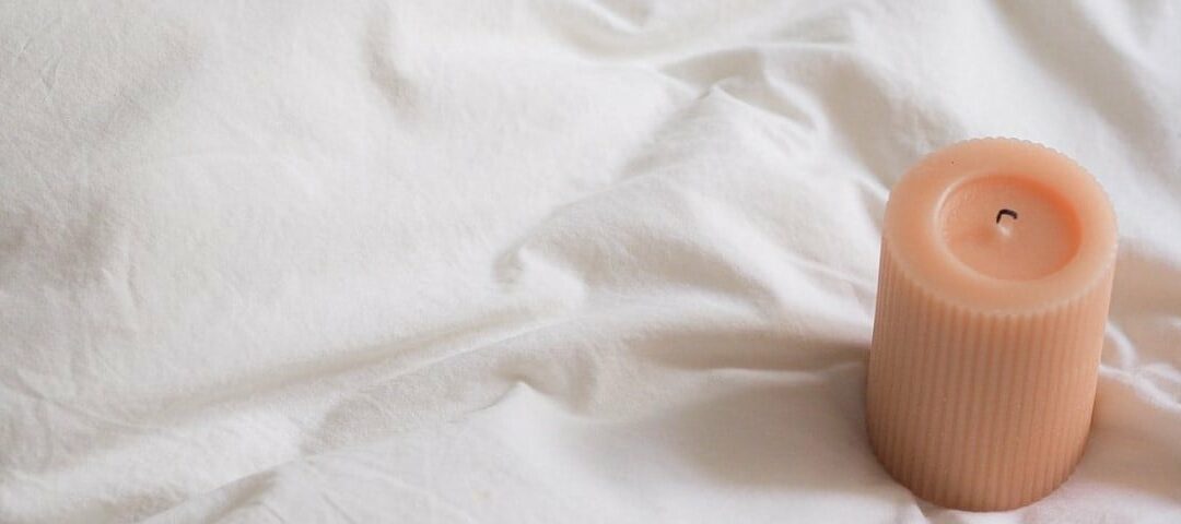 Punaises de lit : les aides pour la désinfection Actualités