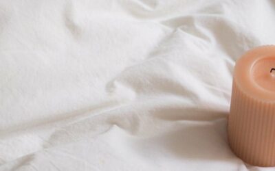 Punaises de lit : les aides pour la désinfection Actualités