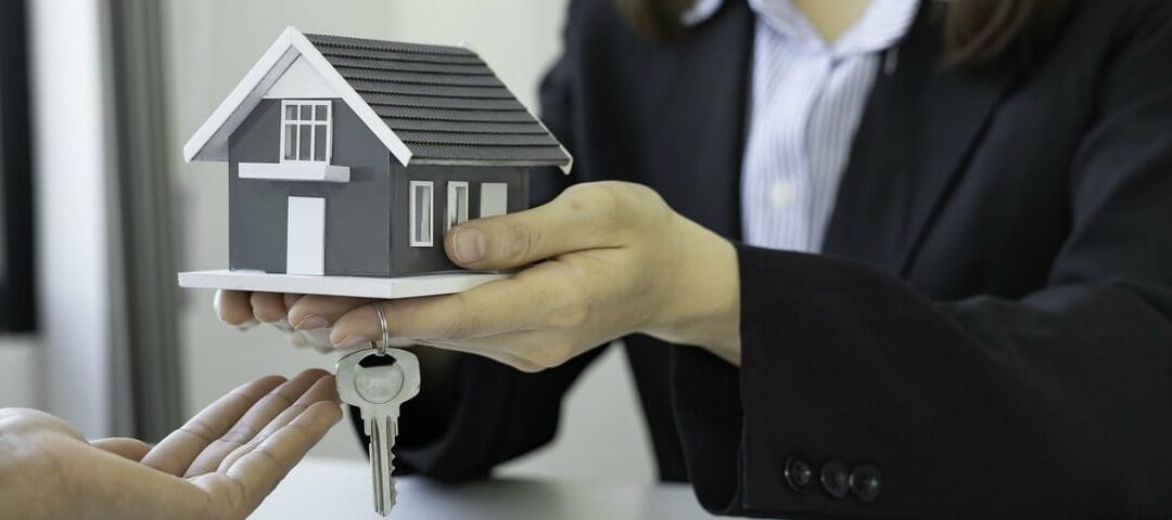 L’immobilier français en crise : les ventes s’effondrent malgré la baisse des prix Actualités