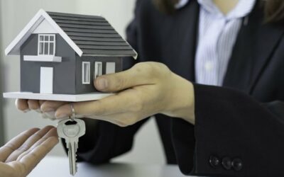 L’immobilier français en crise : les ventes s’effondrent malgré la baisse des prix Actualités