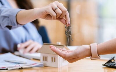 L’immobilier neuf : un marché en crise, à géométrie variable Actualités